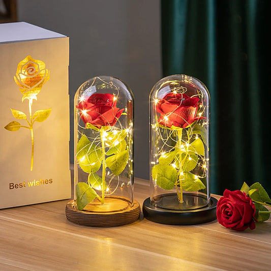 Eternal Rose LED Light Display