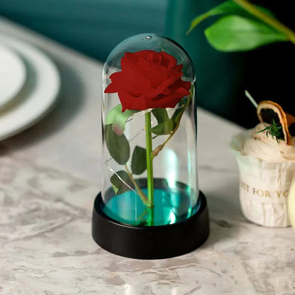 Eternal Rose LED Light Display
